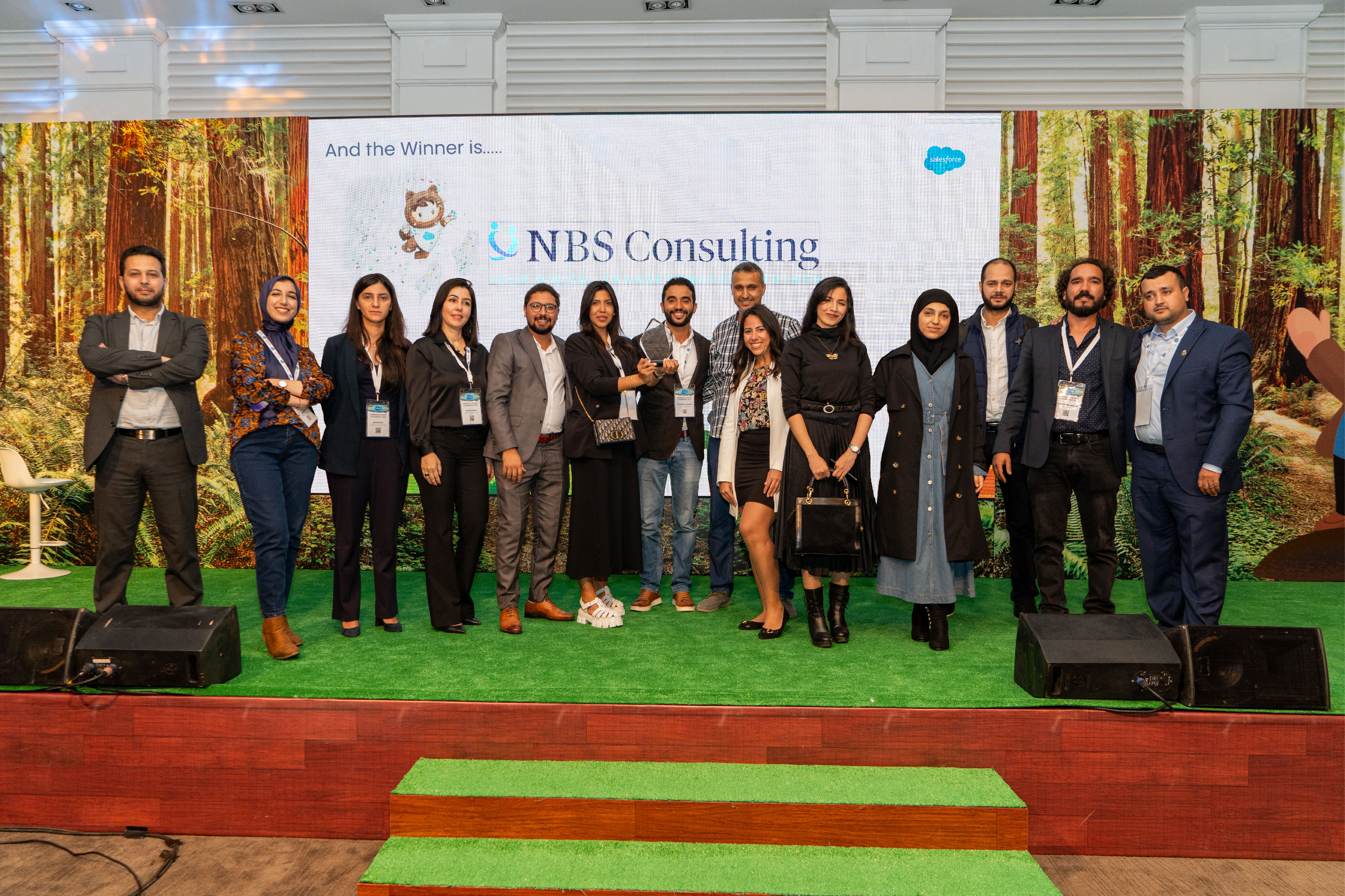 NBS Consulting